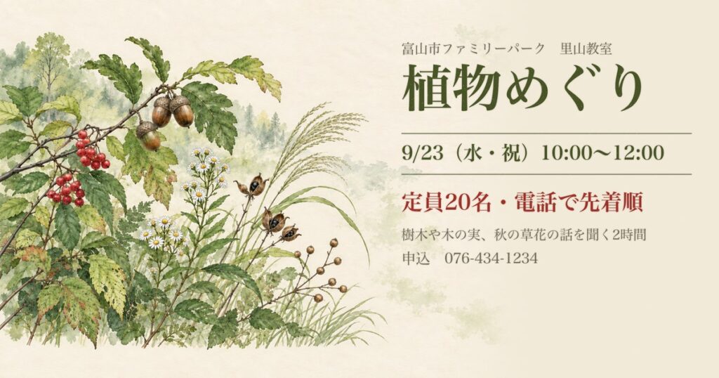 どんぐりや赤い実、野菊やすすきの植物画に、里山教室 植物めぐり 9月23日 定員20名の文字