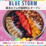 BLUE STORM案内