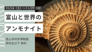 富山と世界のアンモナイト 10/24（土）〜11/29（日） 富山市科学博物館 高校生以下無料