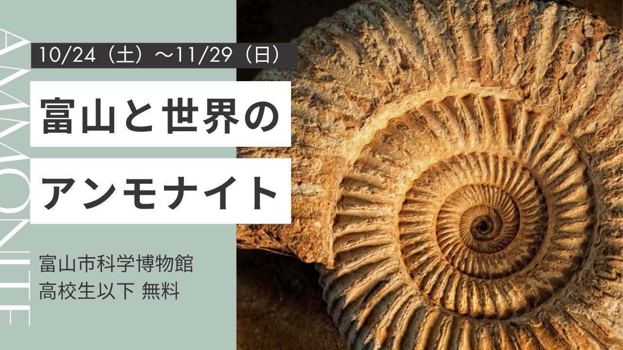 富山と世界のアンモナイト 10/24(土)〜11/29(日) 富山市科学博物館 高校生以下無料