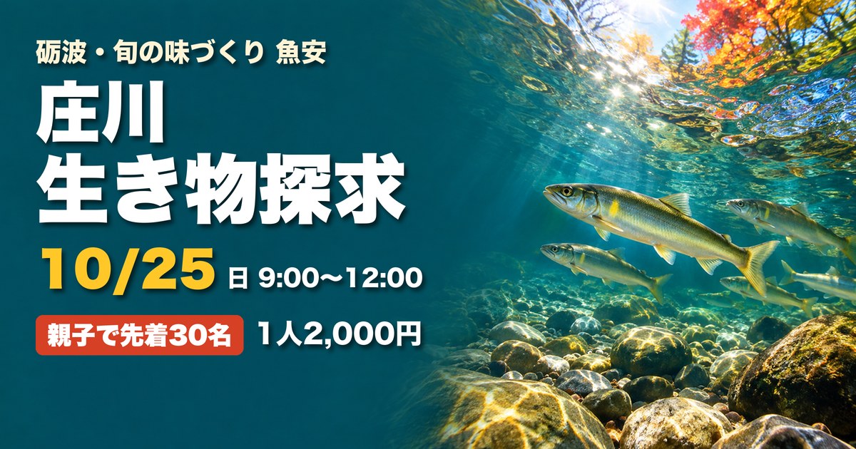 庄川 生き物探求 砺波市 魚安 アイキャッチ