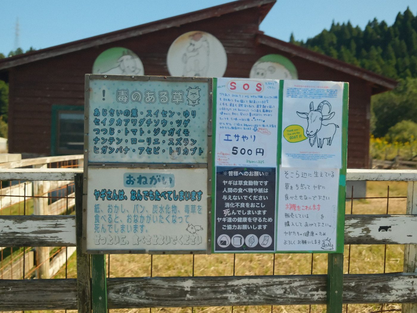 立山あるぺん村 ヤギのエサやりの案内