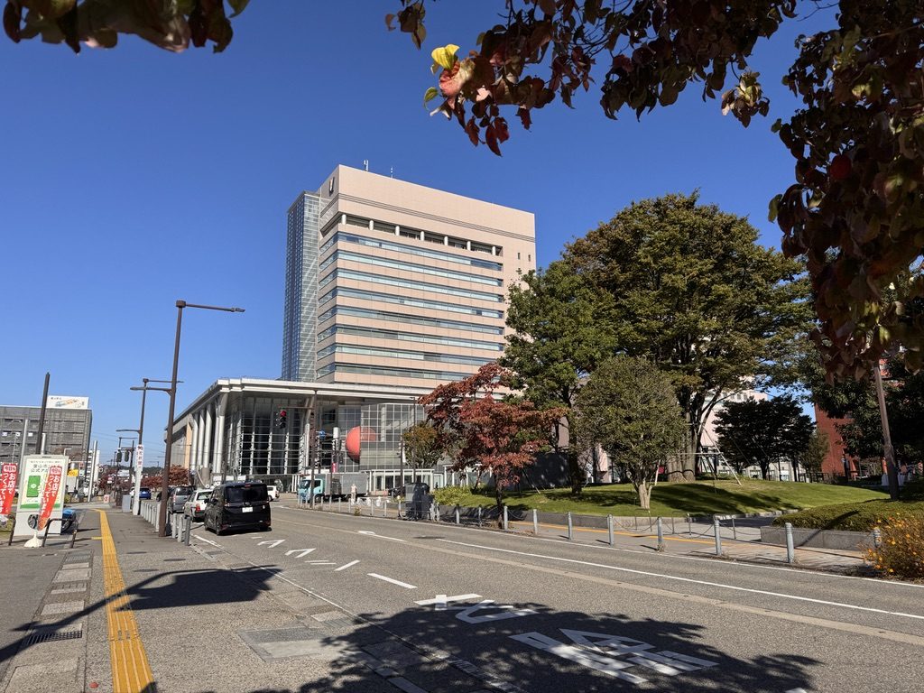 富山駅北口から見た駅前の通り