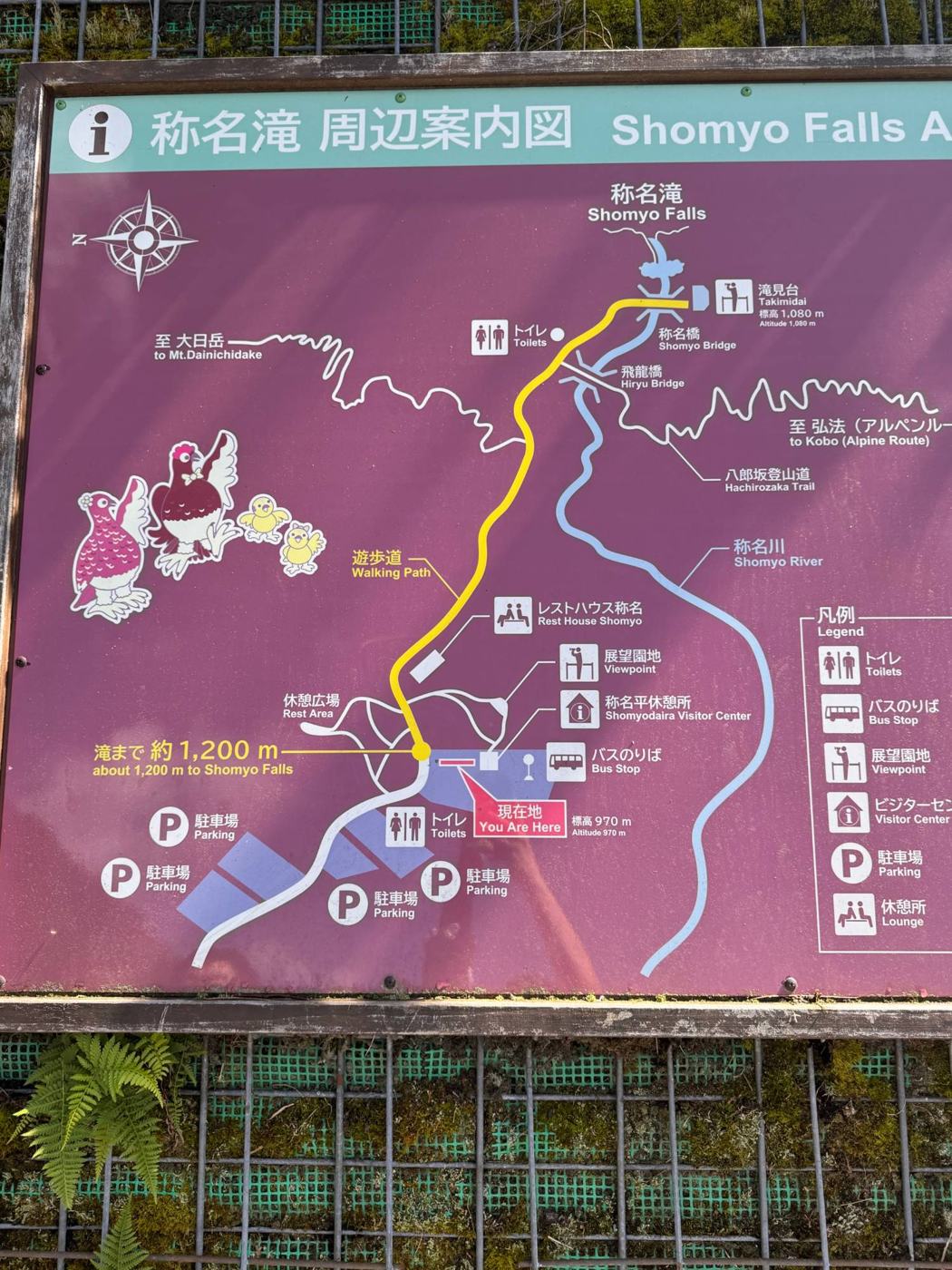 称名滝 周辺案内図