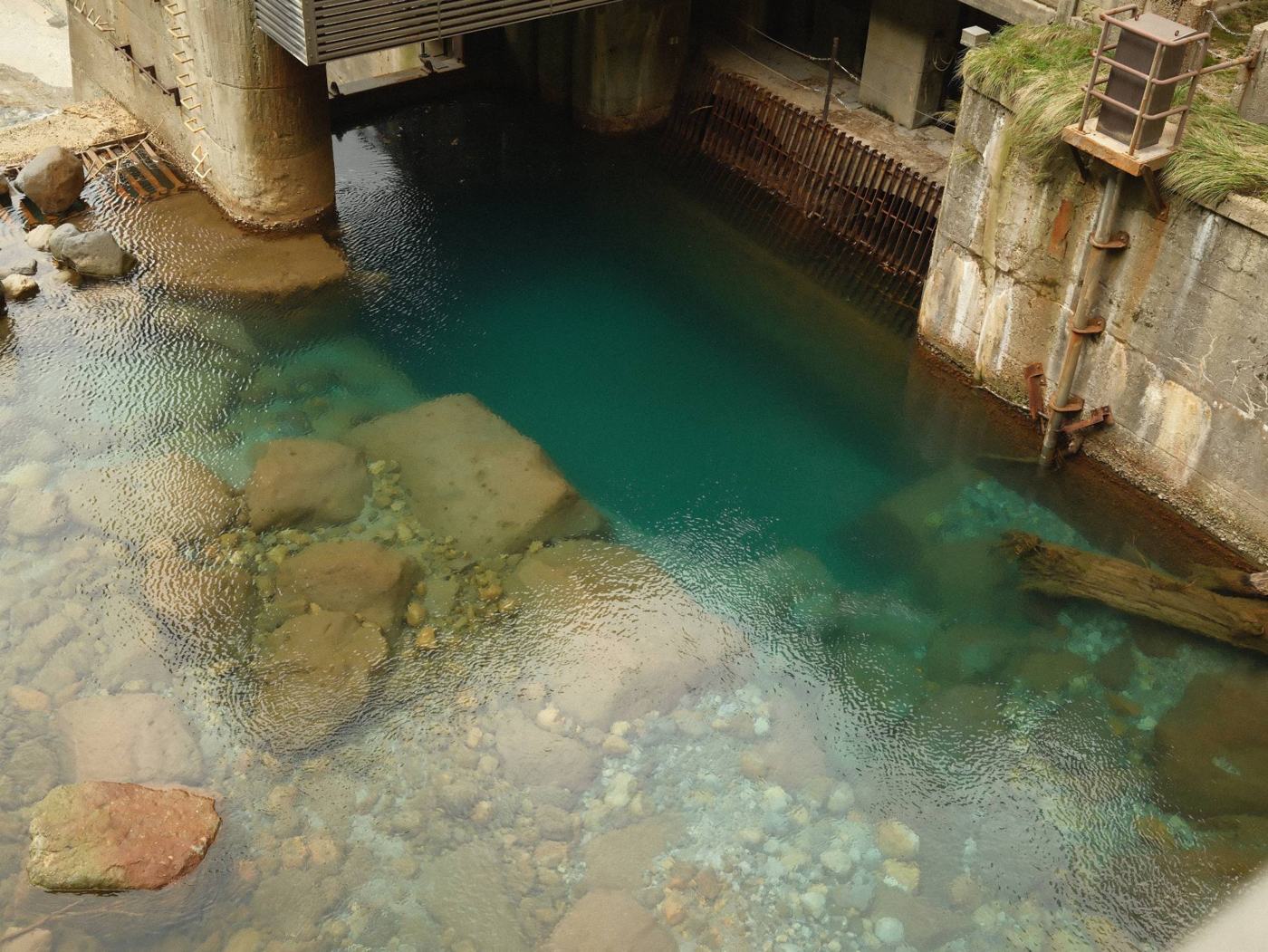 称名川の青い水