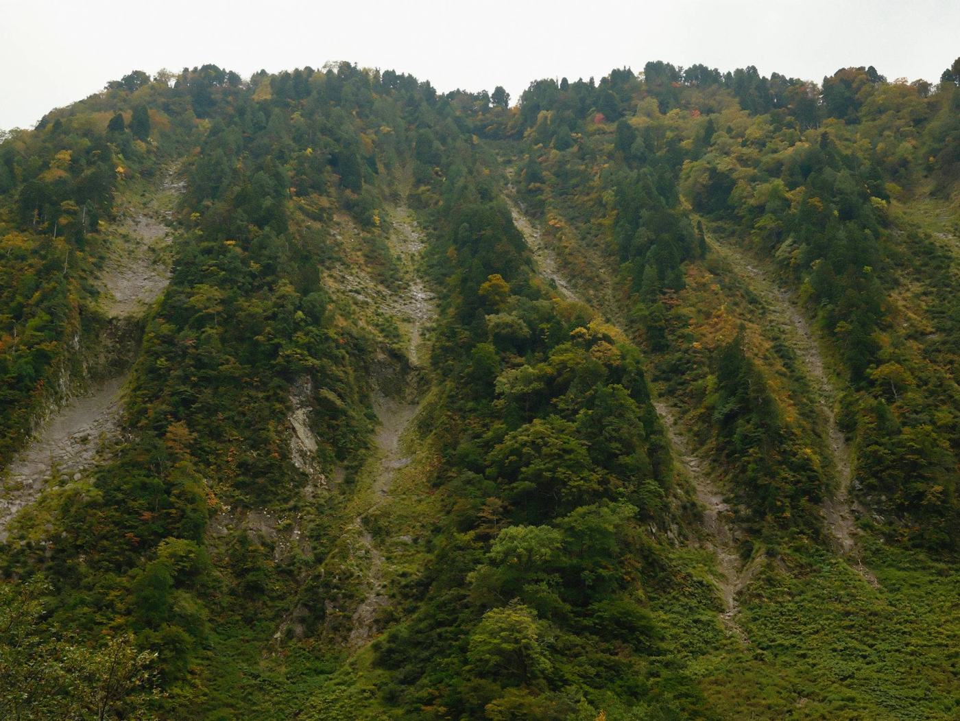 称名峡谷の山肌