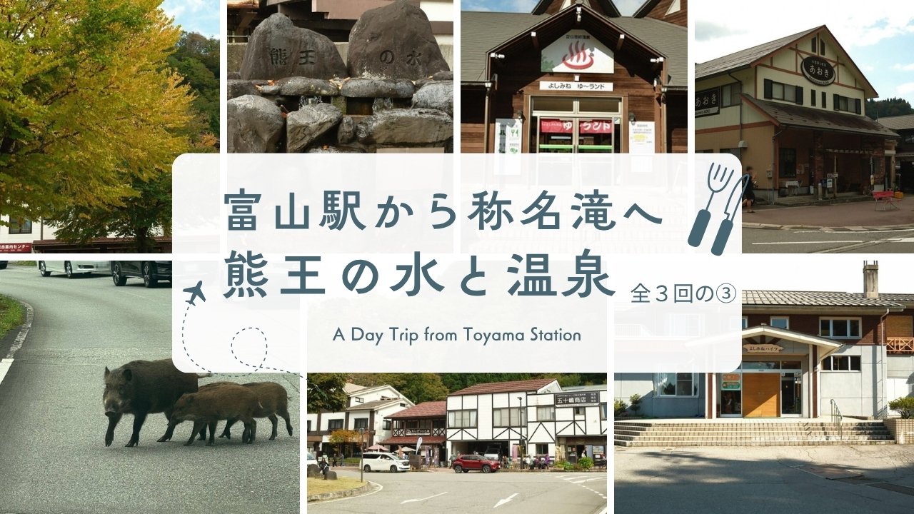 富山駅から称名滝へ 全3回の③ 熊王の水と温泉、帰り道のイノシシ
