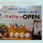 p549-jackdonuts-canva